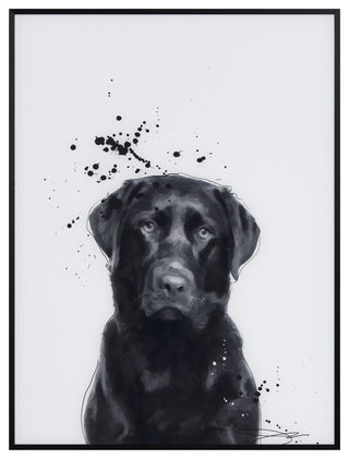 "Labrador Retriever" Black & White Pet Art on Printed Glass with Anodized Frame
