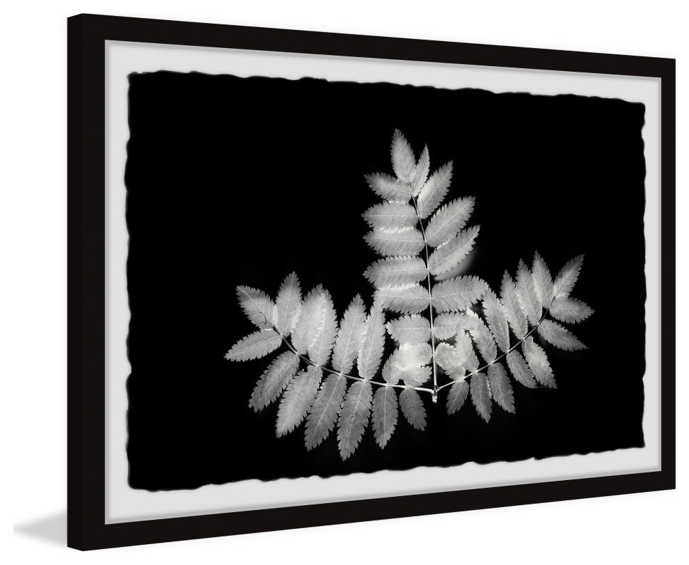 "Contrasting Leaves" Framed Painting Print, 18x12
