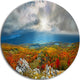 Autumn In Crimean Mountains, Landscape Photo Round Metal Wall Art, 11"