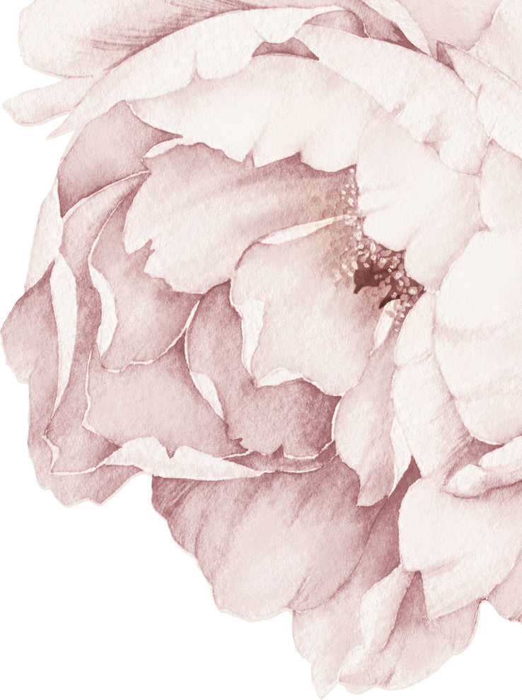 Peony Flowers Vinyl Wall Sticker, Grey Washed Pink