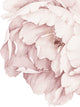Peony Flowers Vinyl Wall Sticker, Grey Washed Pink