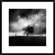 "Printemps Perdu" Framed Digital Print by Sebastien Del Grosso, 24x24"
