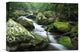 "Roaring Fork River, Great Smoky Mountains National Park, Tennessee" Artwork