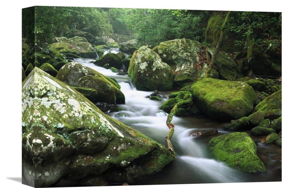 "Roaring Fork River, Great Smoky Mountains National Park, Tennessee" Artwork