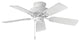 Hinkley Cabana 36``Ceiling Fan 901836FAW-NWA