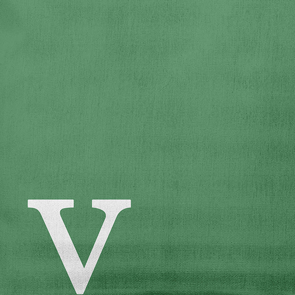 20"x20" Modern Monogram Decorative Throw Pillow, Sage