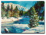 'Colorado Pines' Canvas Art by David Lloyd Glover