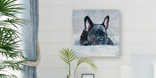 "Afraid Pug" Painting Print on Wrapped Canvas, 48"x48"