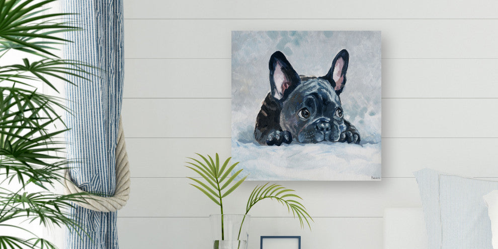 "Afraid Pug" Painting Print on Wrapped Canvas, 48"x48"