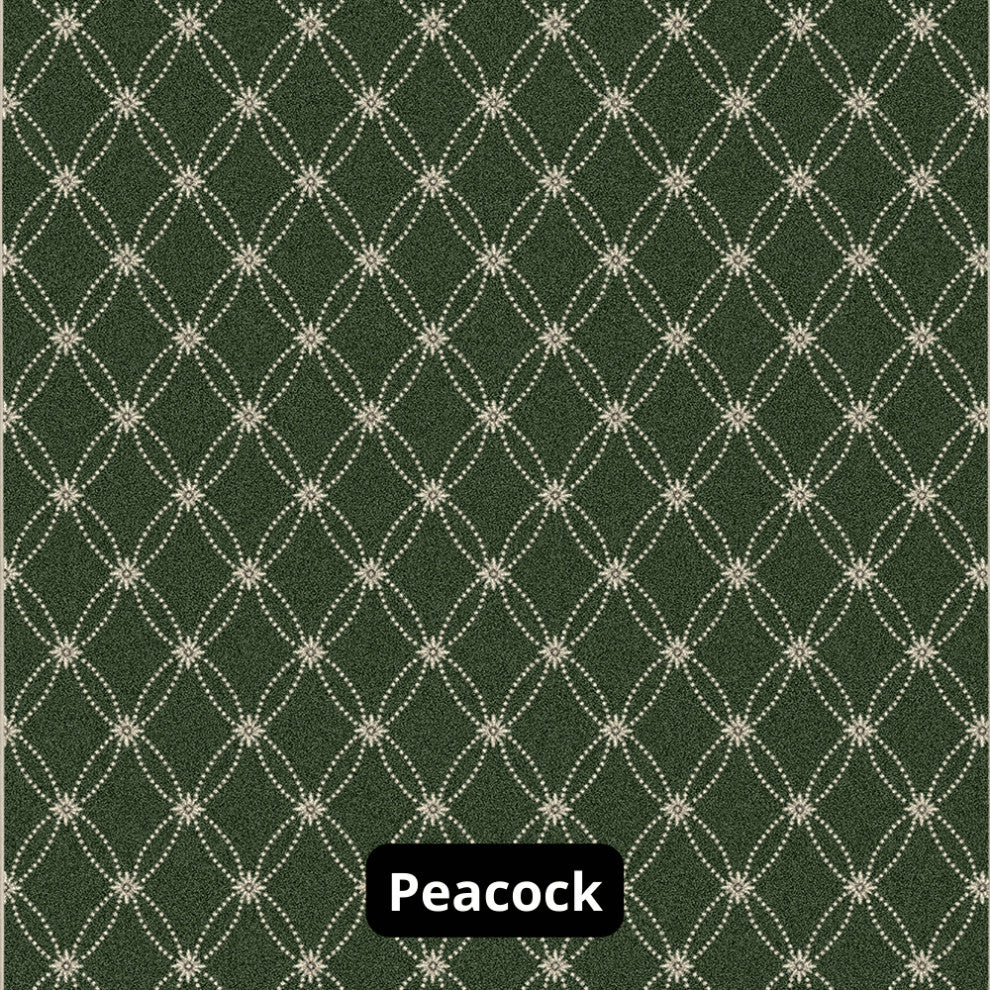 Ribbon Pattern 3/8 Thick Indoor Area Rug Carpet, Peacock, 6x9
