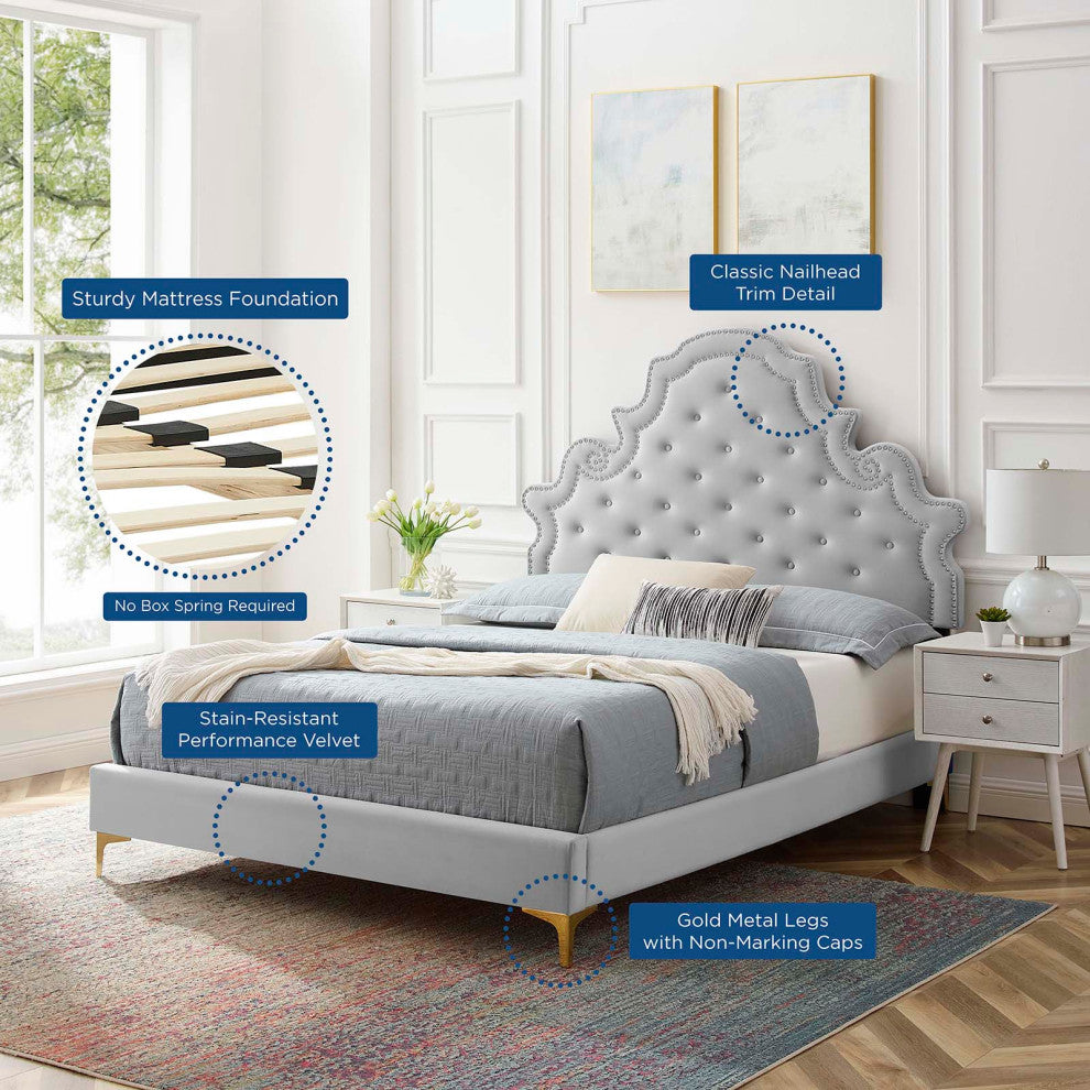 Tufted Platform Bed Frame, Queen Size, Velvet, Gray, Modern Contemporary