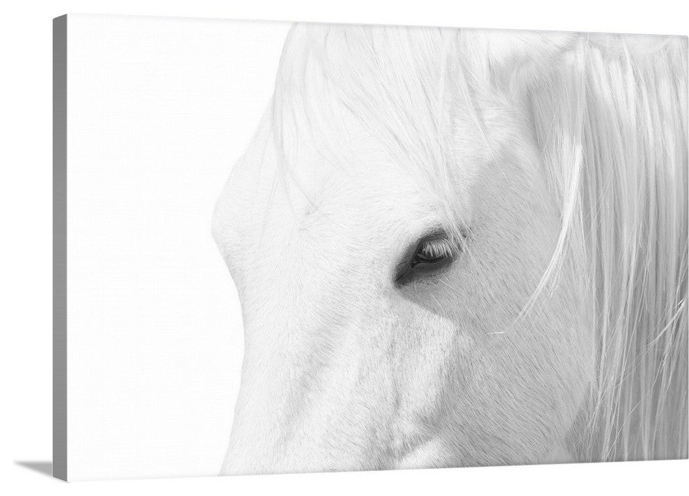 "A Rare Breed" Wrapped Canvas Art Print, 36"x24"x1.5"