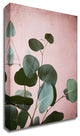 Sage Eucalyptus No. 2 by Lupen Grainne, Print on Canvas, 16" x 20"