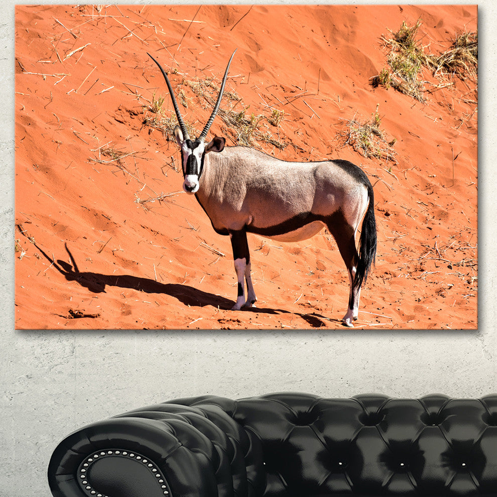 Large Oryx in Bright Namib Desert, Animal Canvas Art Print, 40"x30"