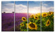 Lavender and Sunflower Fields, Floral Canvas Art Print, 48"x28", 4 Panels
