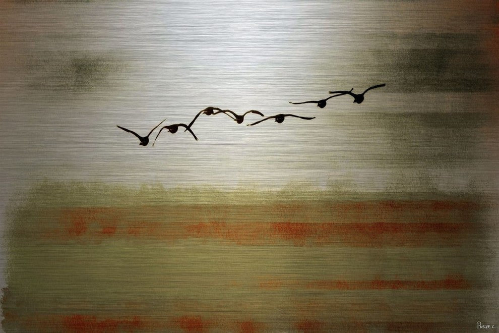 "Sun Flight" Print on Brushed Aluminum, 45"x30"