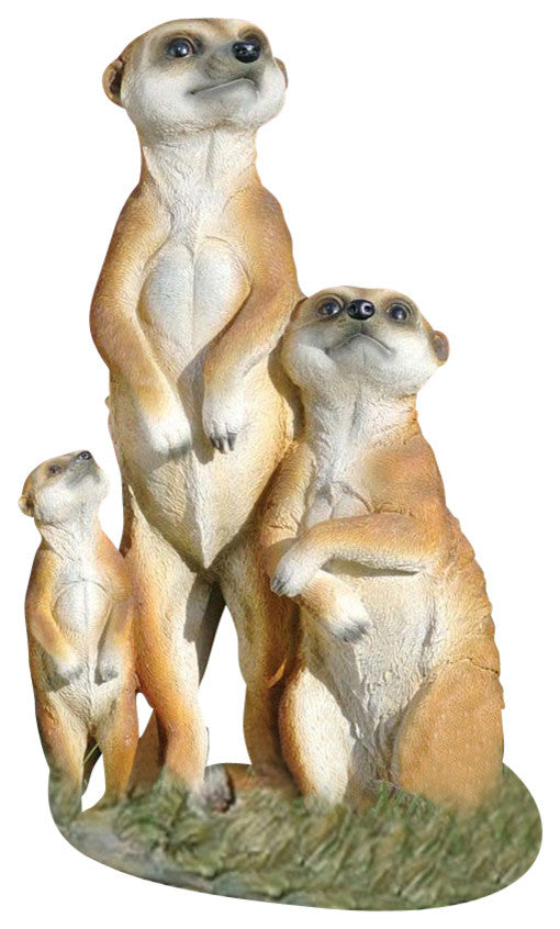 Meerkat Family