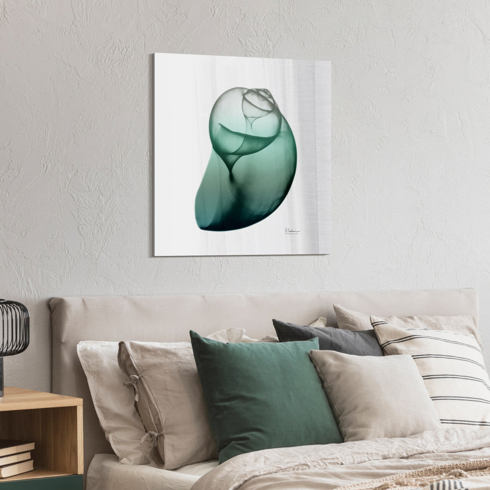 "Shimmering Snail I" Wall Art on Frameless Free Floating Tempered Glass Panel