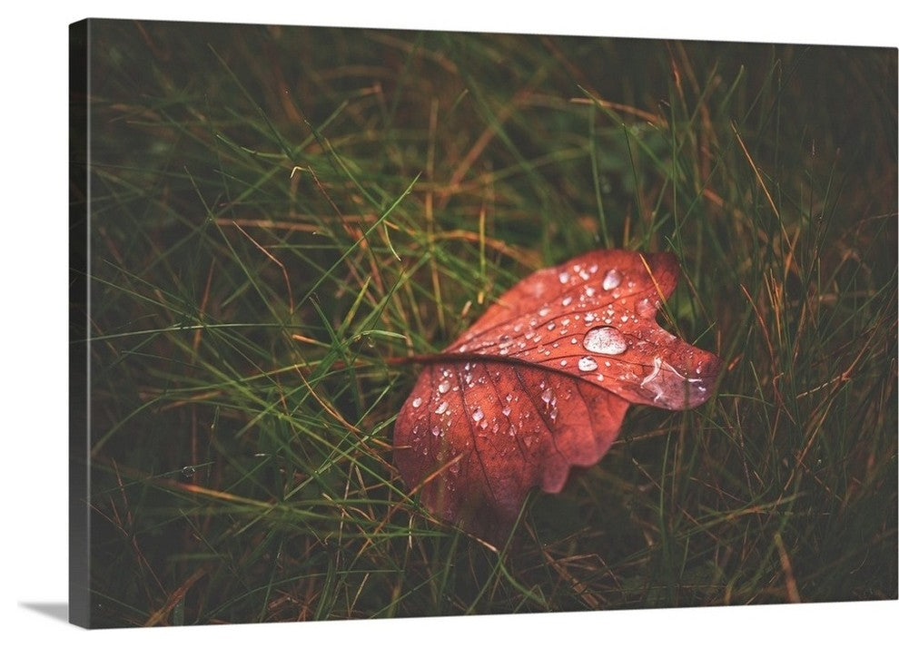 "After the Rain" Wrapped Canvas Art Print, 36"x24"x1.5"