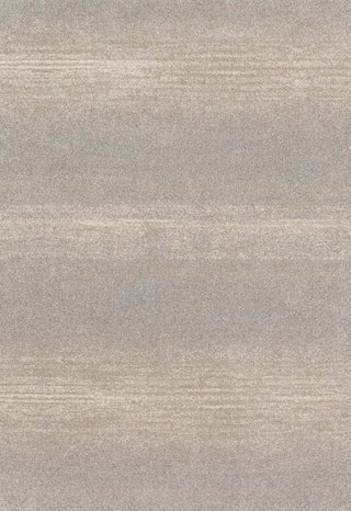 Easy Care, Stain/Fade Resistant Emory Area Rug, Silver, 7'7"x10'6"