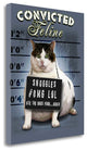 "Convicted Feline" By Jim Baldwin, Giclee Print on Gallery Wrap Canvas