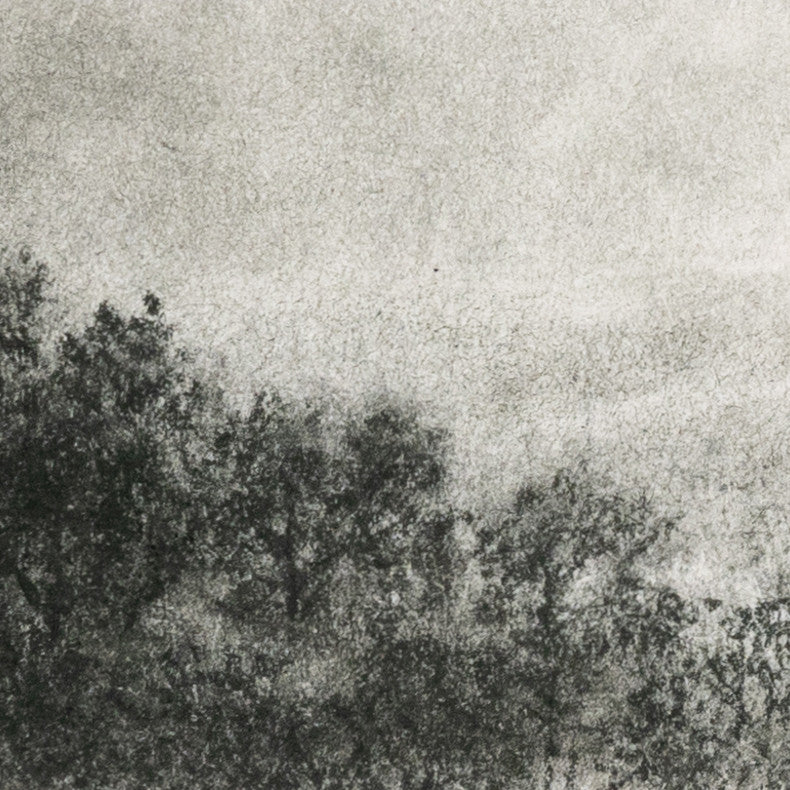 Hill Ctry Study I By Aileen Fitzgerald