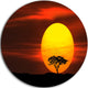 Lonely Tree With Birds At Sunset, Round Wall Art Landscape, 36"