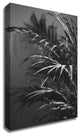 Black Plant by Design Fabrikken, Print on Canvas, 25"x35"