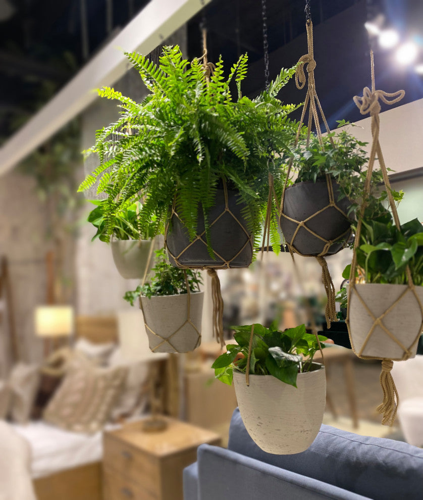 Patio 6" Craft Medium Hanging Pot With Netting