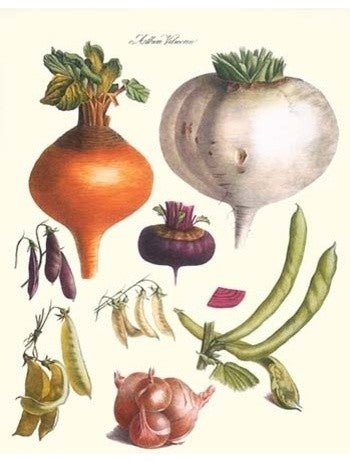 Vegetables; Peas, Onion, Turnip, Raddish, Green Beans