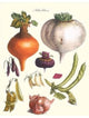 Vegetables; Peas, Onion, Turnip, Raddish, Green Beans