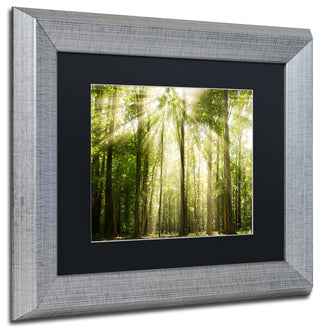 PIPA Fine Art 'Sunrays Through Treetops' Matted Framed Art, 14x11