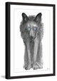 "Gray Wolf with Shades" Framed Painting Print, 16"x24"