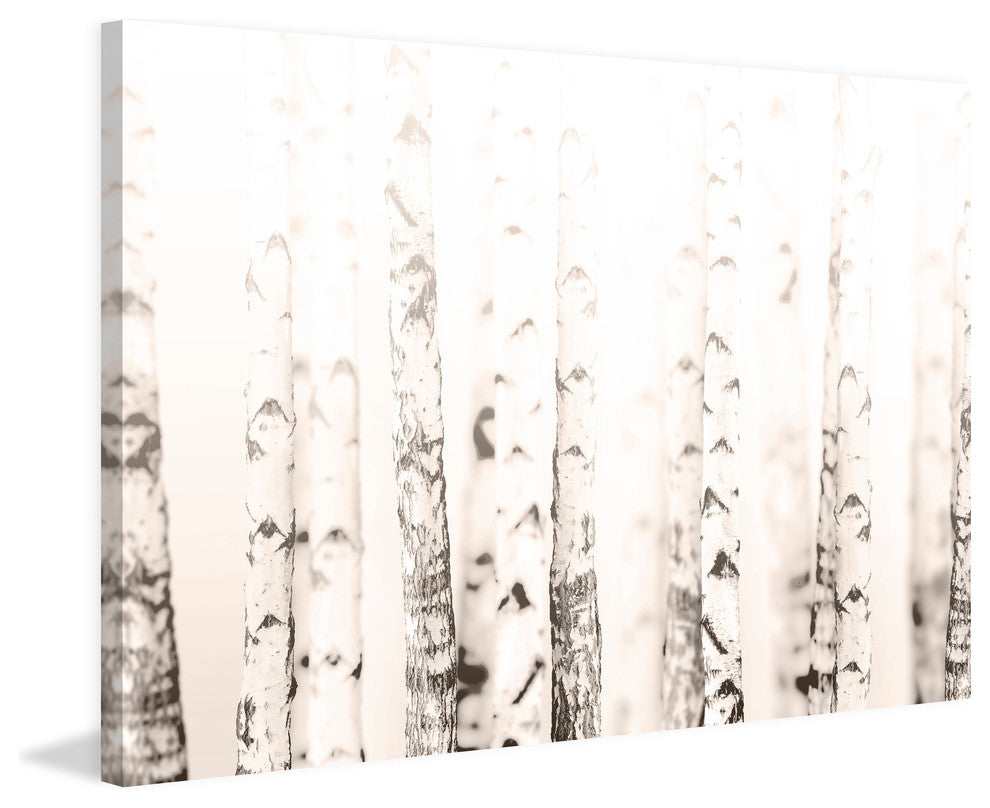 Birchwood Print on Canvas, 45x30 cm