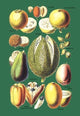 Fruits and Nuts #1- Fine Art Giclee Print 24" x 36"