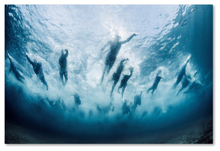 Davide Lopresti 'Swim' Canvas Art, 32x22