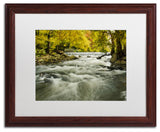 PIPA Fine Art 'Hoopes Falls in the Autumn' Matted Framed Art, 20x16