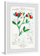 "Turpin's Tableau" Framed Painting Print, 16"x24"
