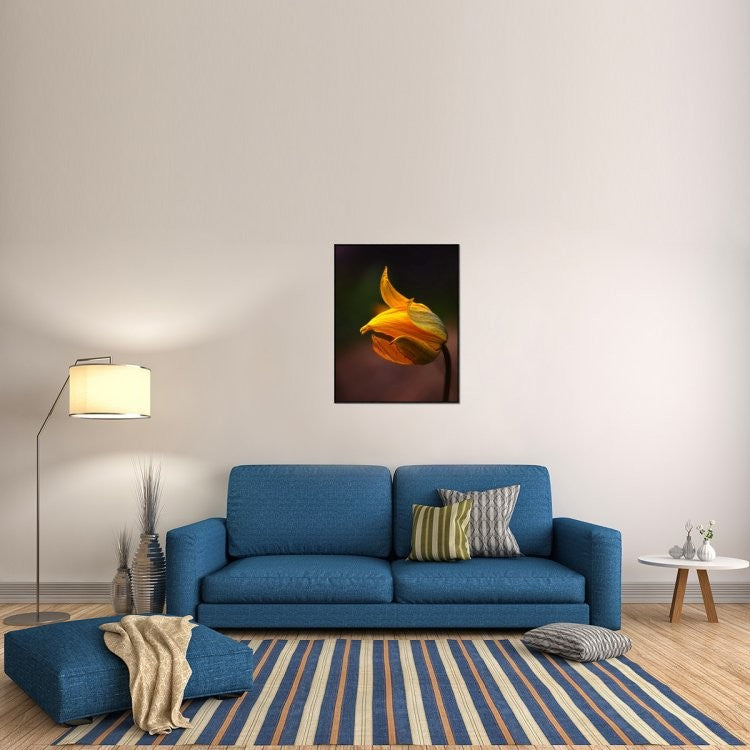 "Shine" Framed Canvas Giclee by Kent Mathiesen, 29x37"