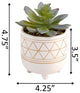 4.25" Gold Geo Hand Paintged Ceramic Succï¼ŒSm
