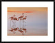 "Untitled" Framed Digital Print by Anna Cseresnjes, 30x23"