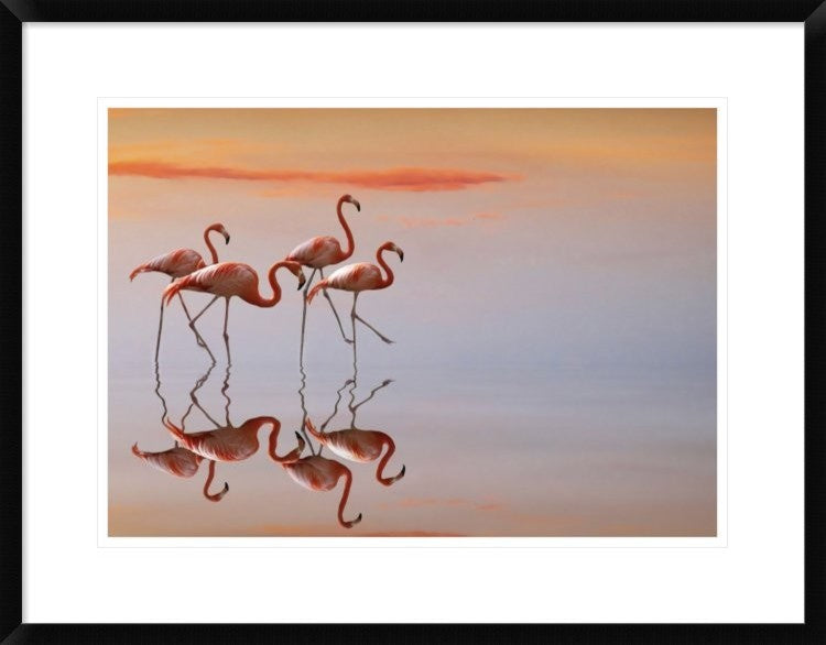 "Untitled" Framed Digital Print by Anna Cseresnjes, 30x23"