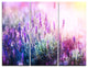 "Growing and Blooming Lavender" Photo Metal Wall Art, 3 Panels, 36"x28"