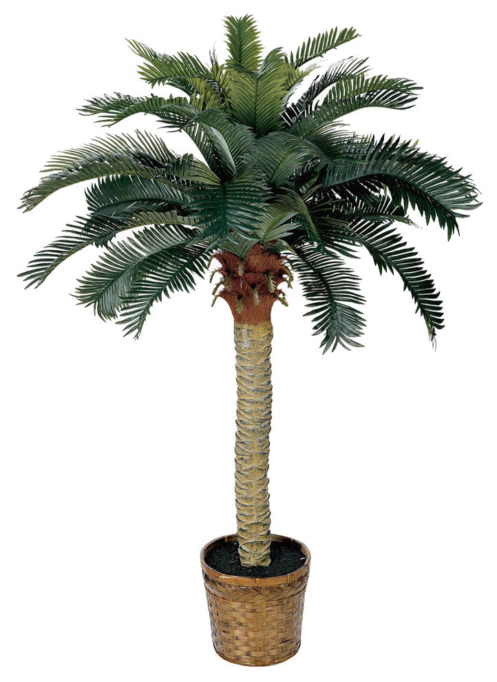 4' Sago Silk Palm Tree