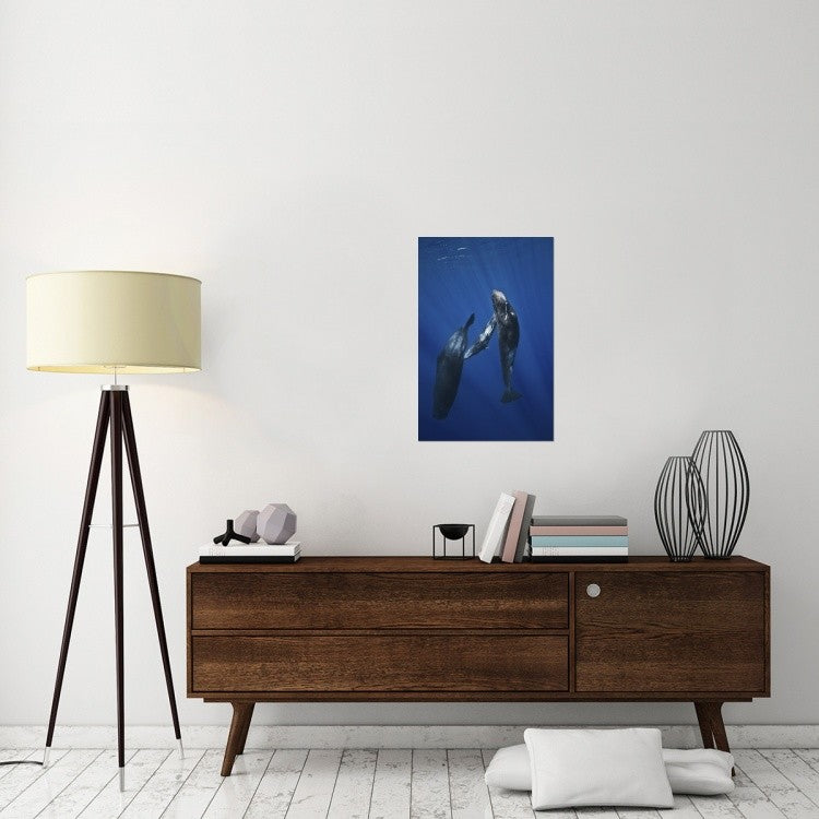 "Sperm Whale Family" Stretched Canvas Giclee by Barathieu Gabriel, 20x30"
