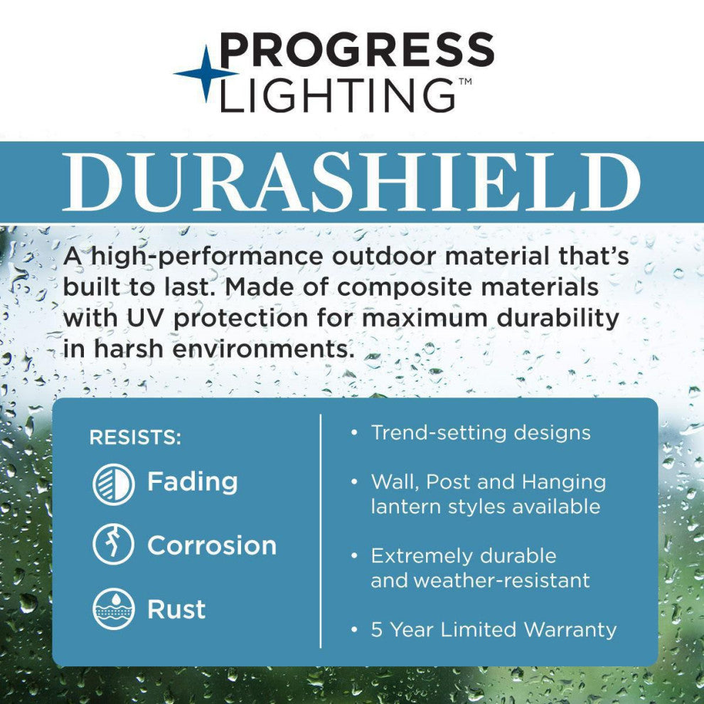 POINT DUMEÂ® Dunemere Galvanized Finish Outdoor Wall Lantern with DURASHIELD