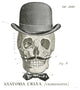 "Dandy Bones IV" Digital Paper Print by Sue Schlabach, 38"x38"