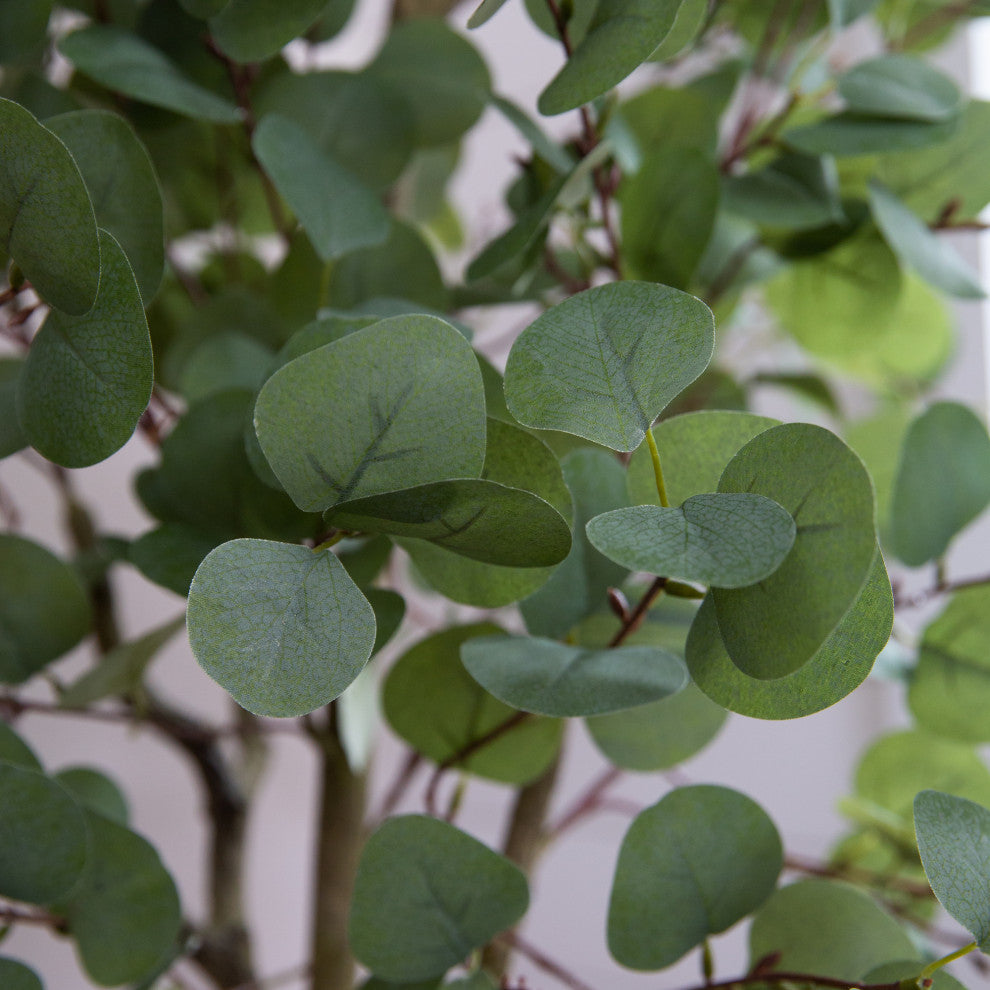 Alternate_white_close: close-up of leaves/branch with white background.