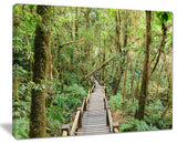 "Walk Way in Deep Forest" Landscape Canvas Photo Print, 40"x30"