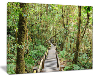 "Walk Way in Deep Forest" Landscape Canvas Photo Print, 40"x30"
